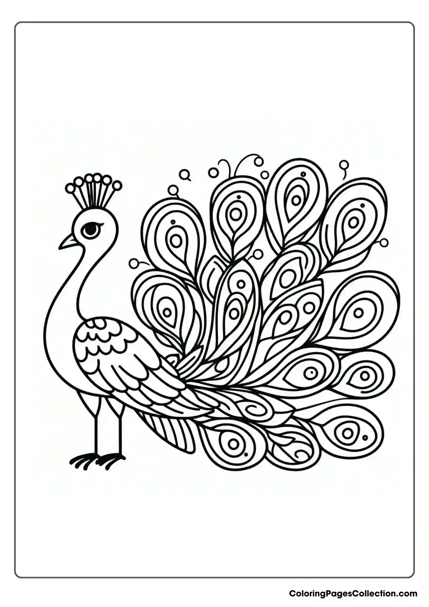 Peacock With Slender Neck
