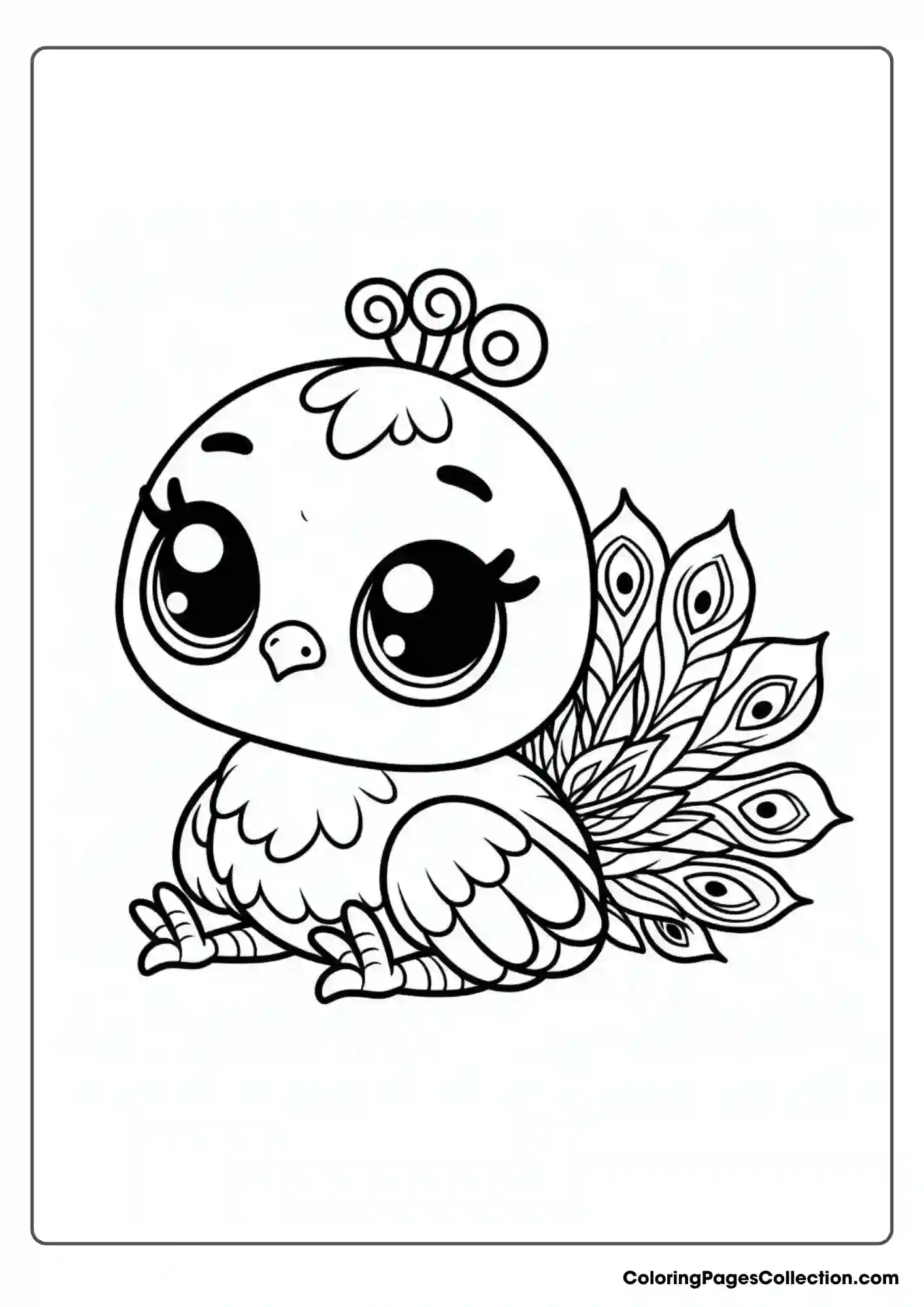 Baby Peacock With Small