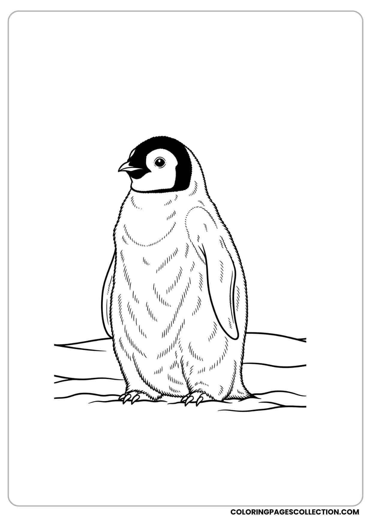 Realistic penguin coloring page with a single penguin standing in snow detailed body texture