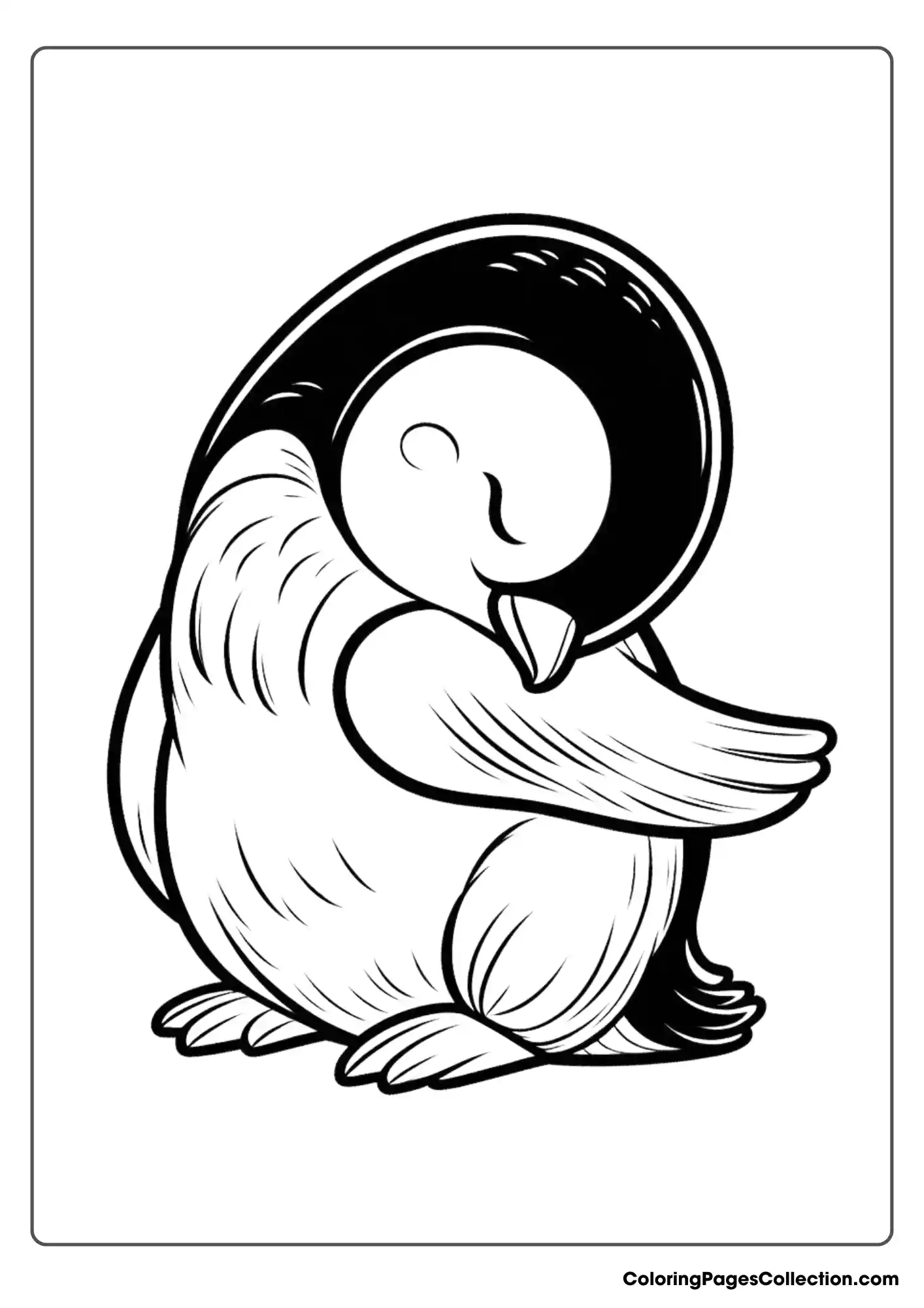 A penguin preening its feathers