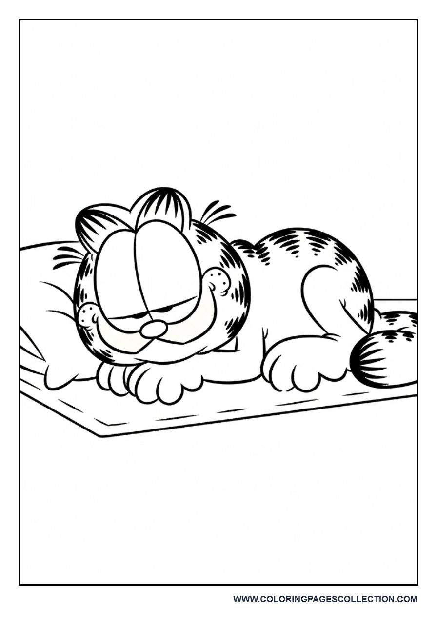 Garfield Sleeping on a Mat