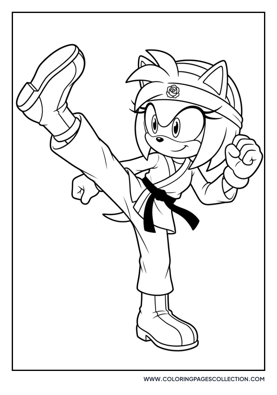 Amy Rose Karate Pose