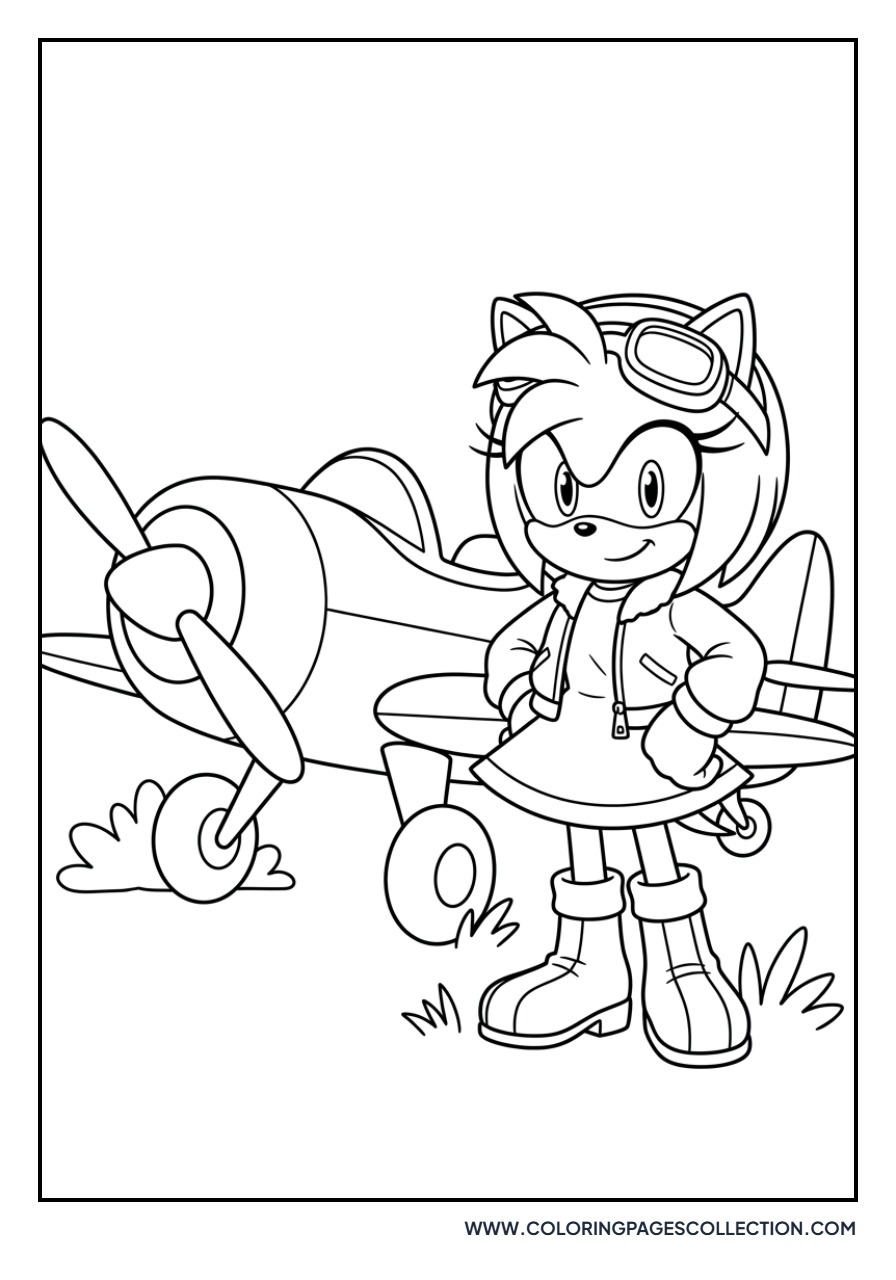 Amy Rose Pilot Outfit