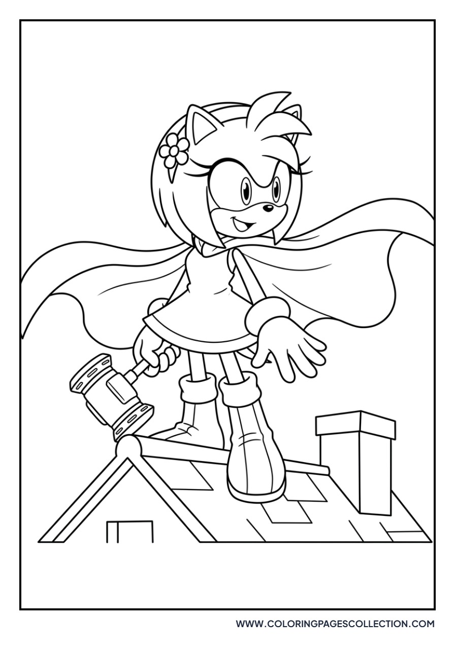 Amy Rose Superhero Cape