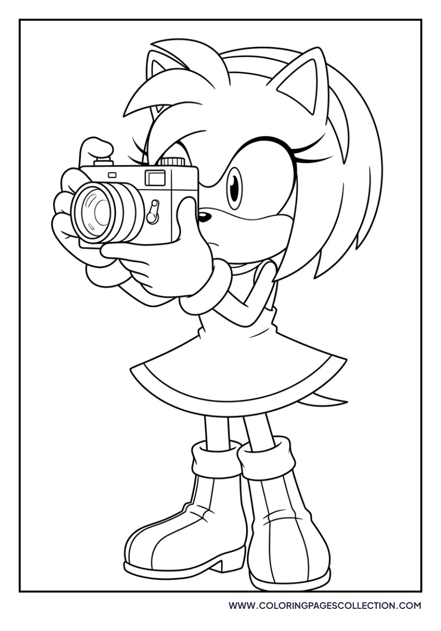 Amy Rose with a Camera