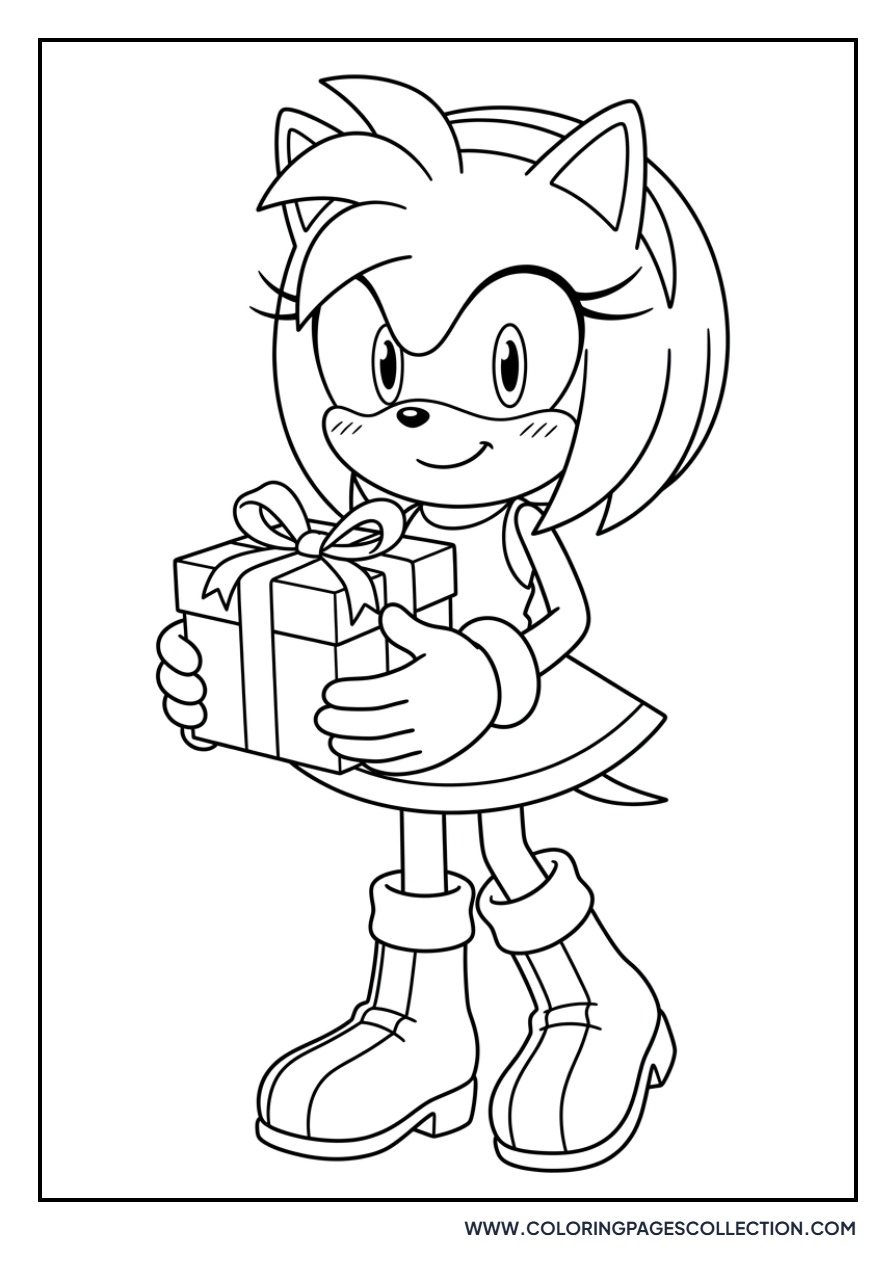 Amy Rose with a Gift