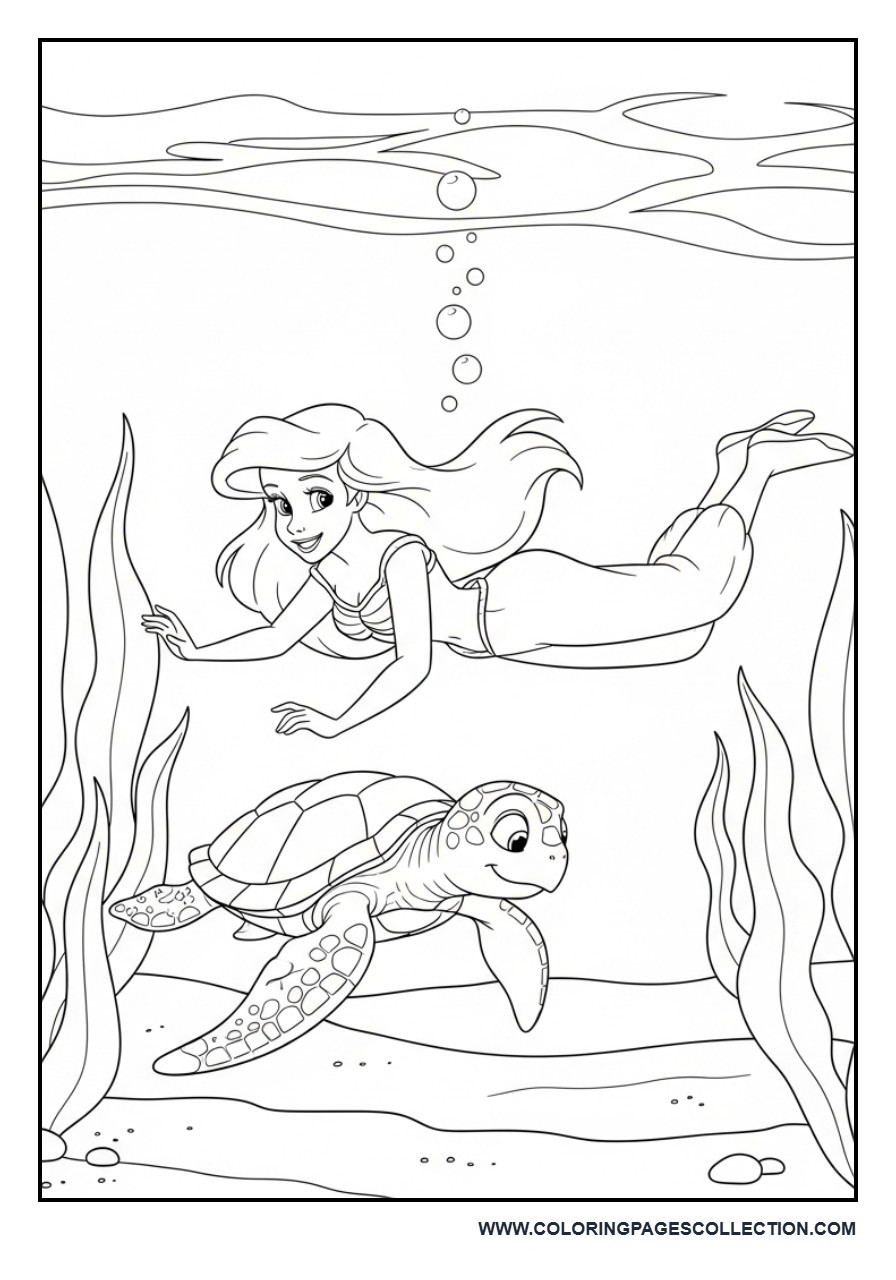 Ariel and Sea Turtle