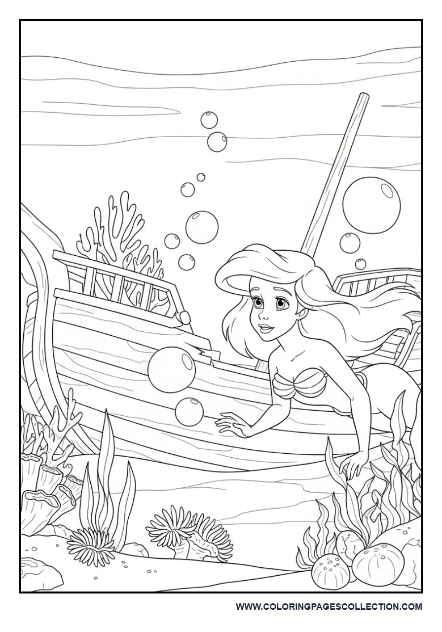 Ariel Discovering a Shipwreck