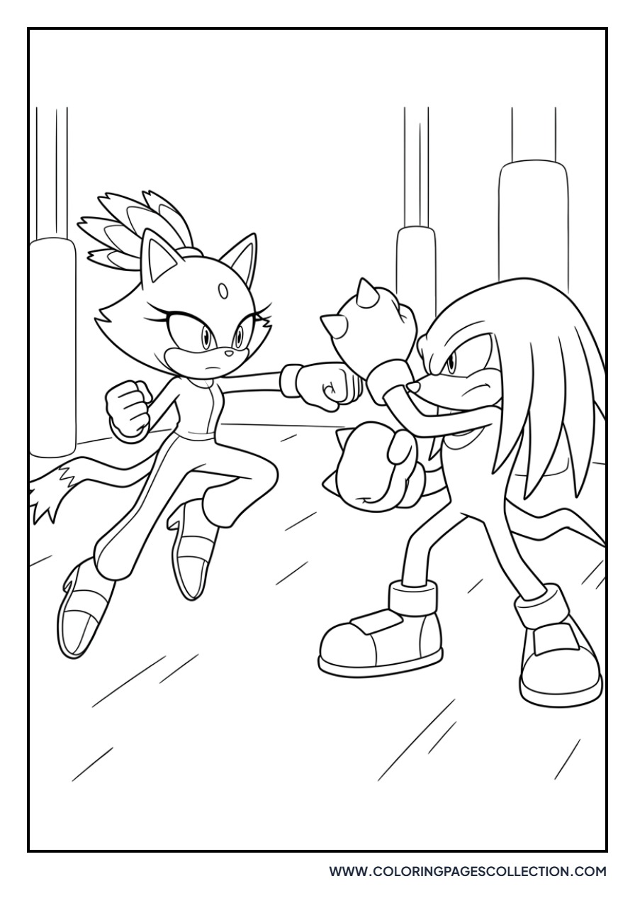 Blaze and Knuckles Sparring