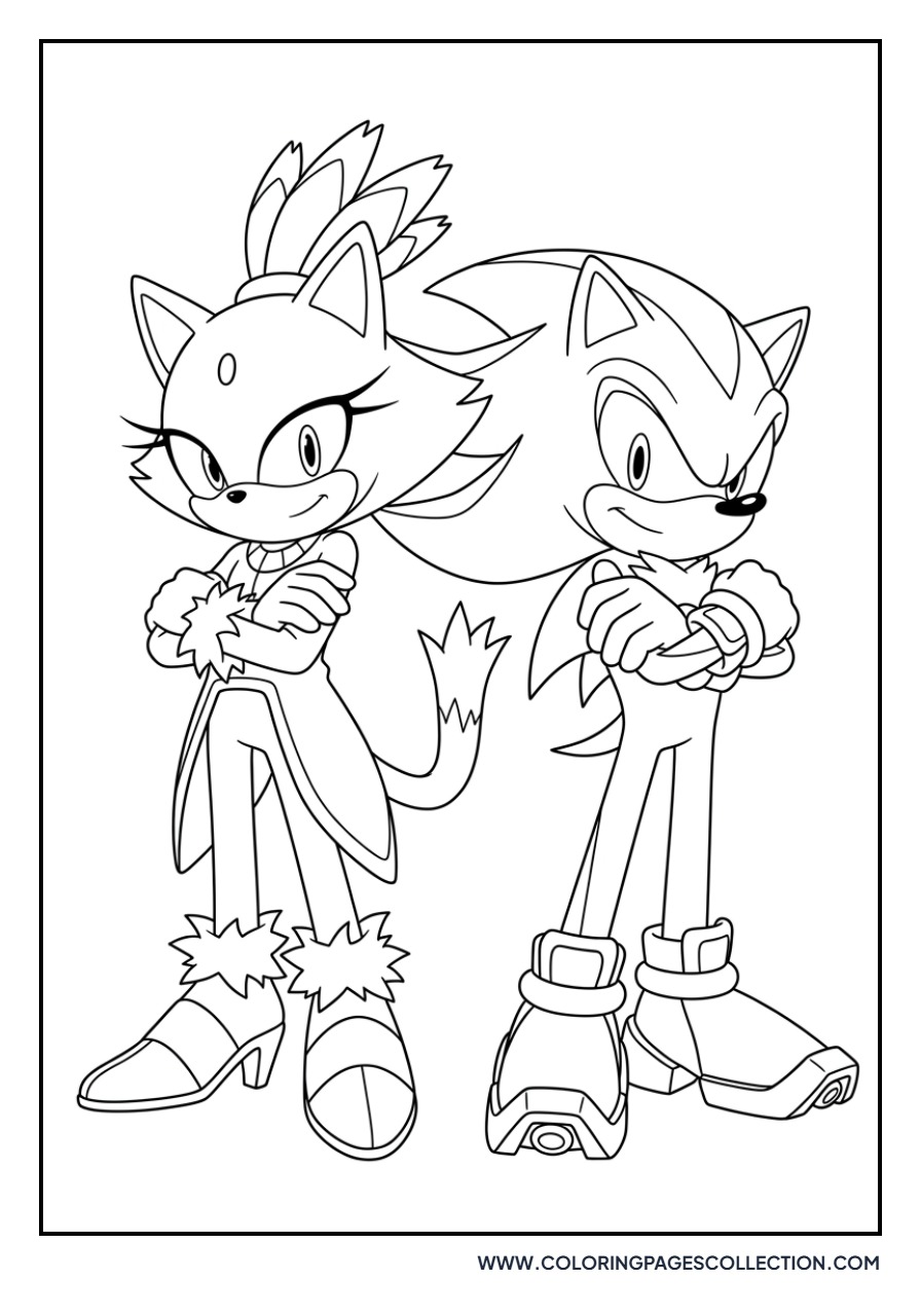 Blaze and Shadow the Hedgehog
