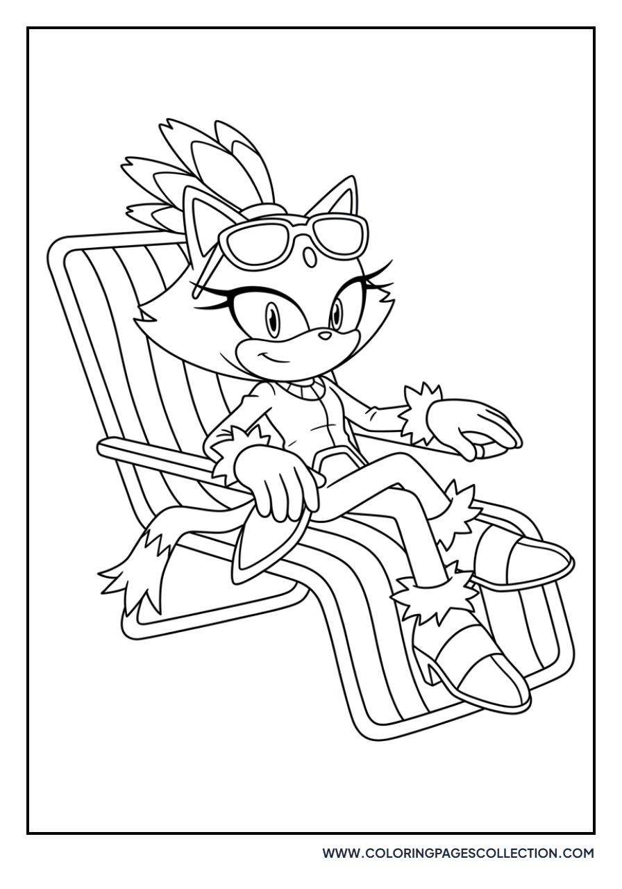 Blaze the Cat at the Beach