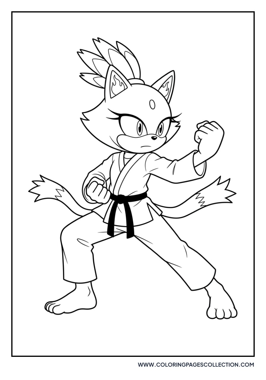 Blaze the Cat Karate Pose