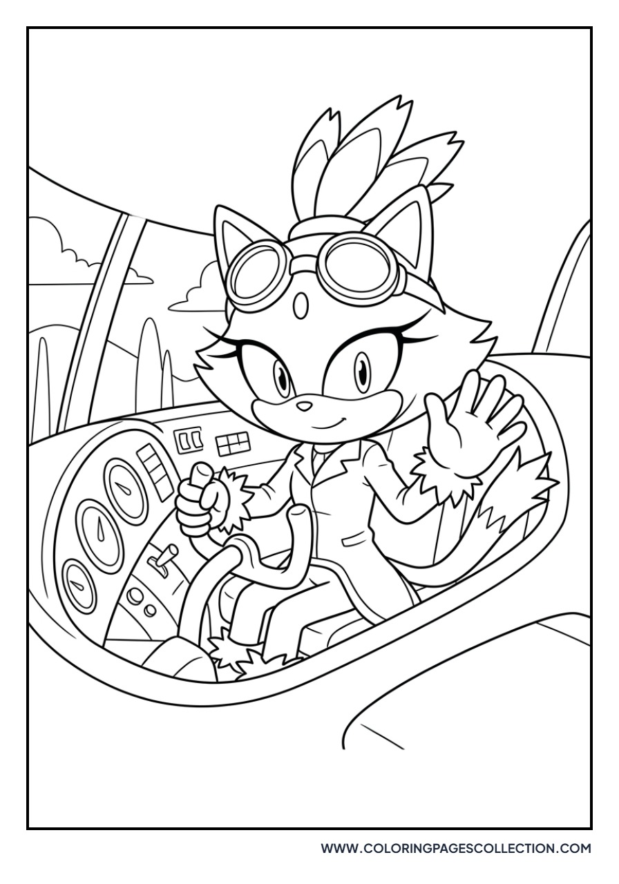 Blaze the Cat Pilot