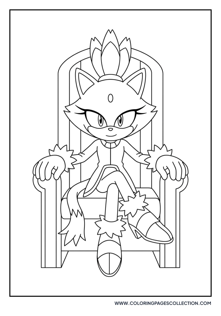 Blaze the Cat Sitting Proudly
