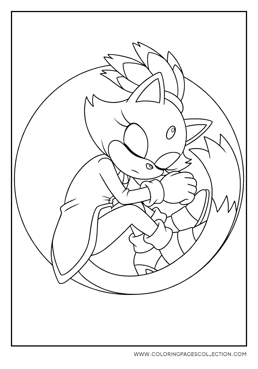 Blaze the Cat Sleeping