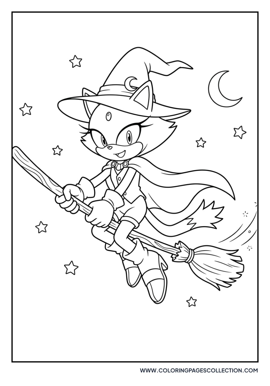 Blaze the Cat Witch Outfit