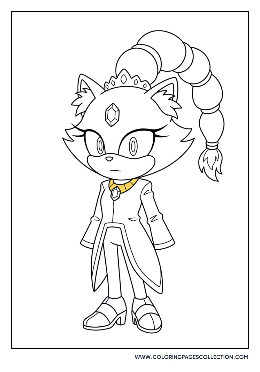 Blaze the Princess Portrait