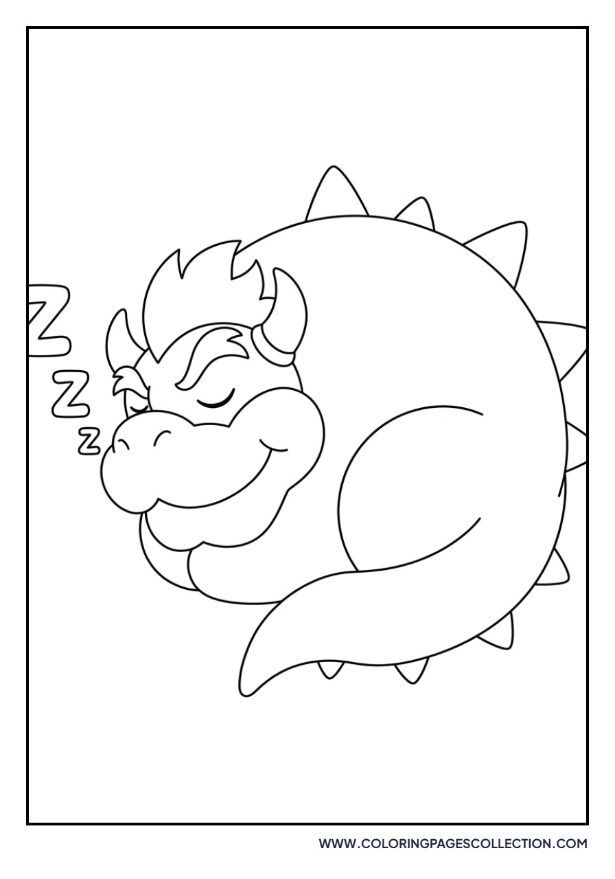 Bowser Sleeping