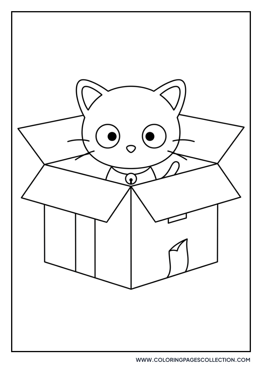 Chococat in a Cardboard Box