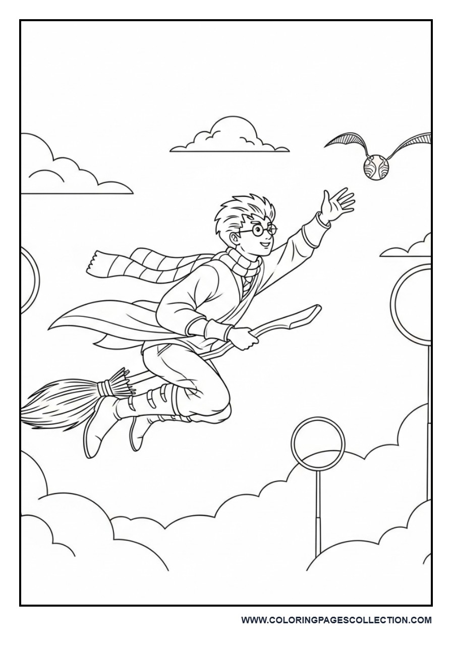 Harry Chasing the Golden Snitch