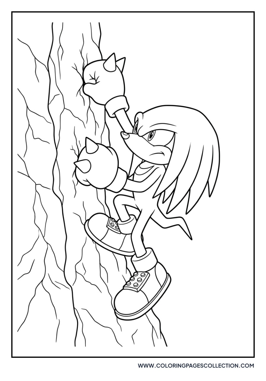 Knuckles Climbing Wall