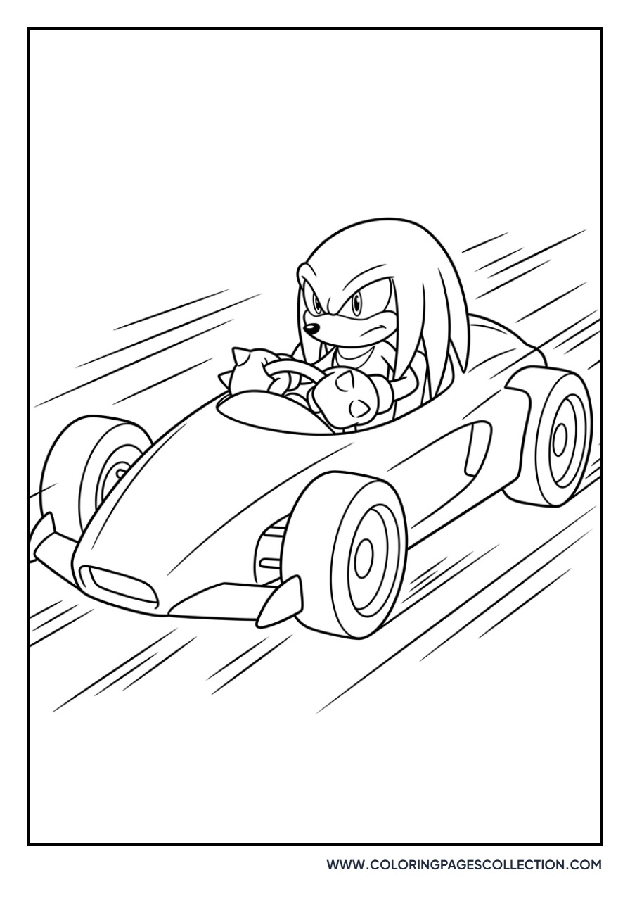 Knuckles Driving a Race Car
