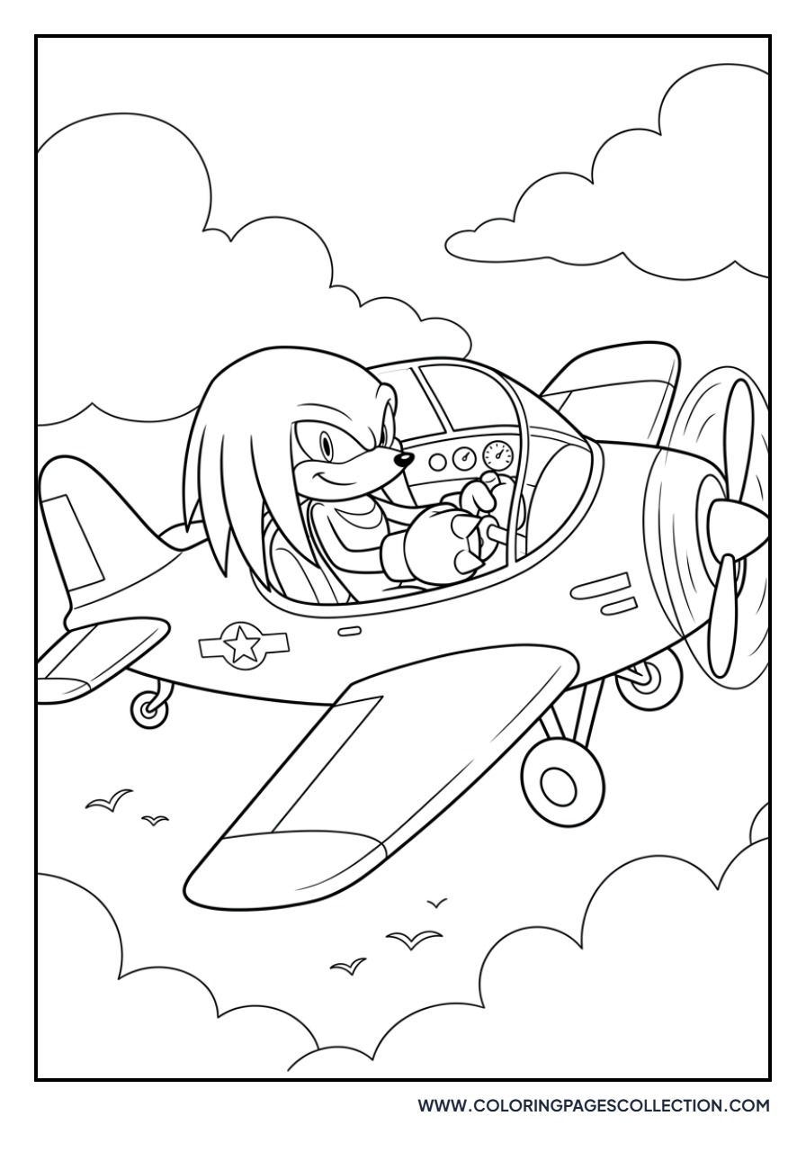 Knuckles Flying a Plane
