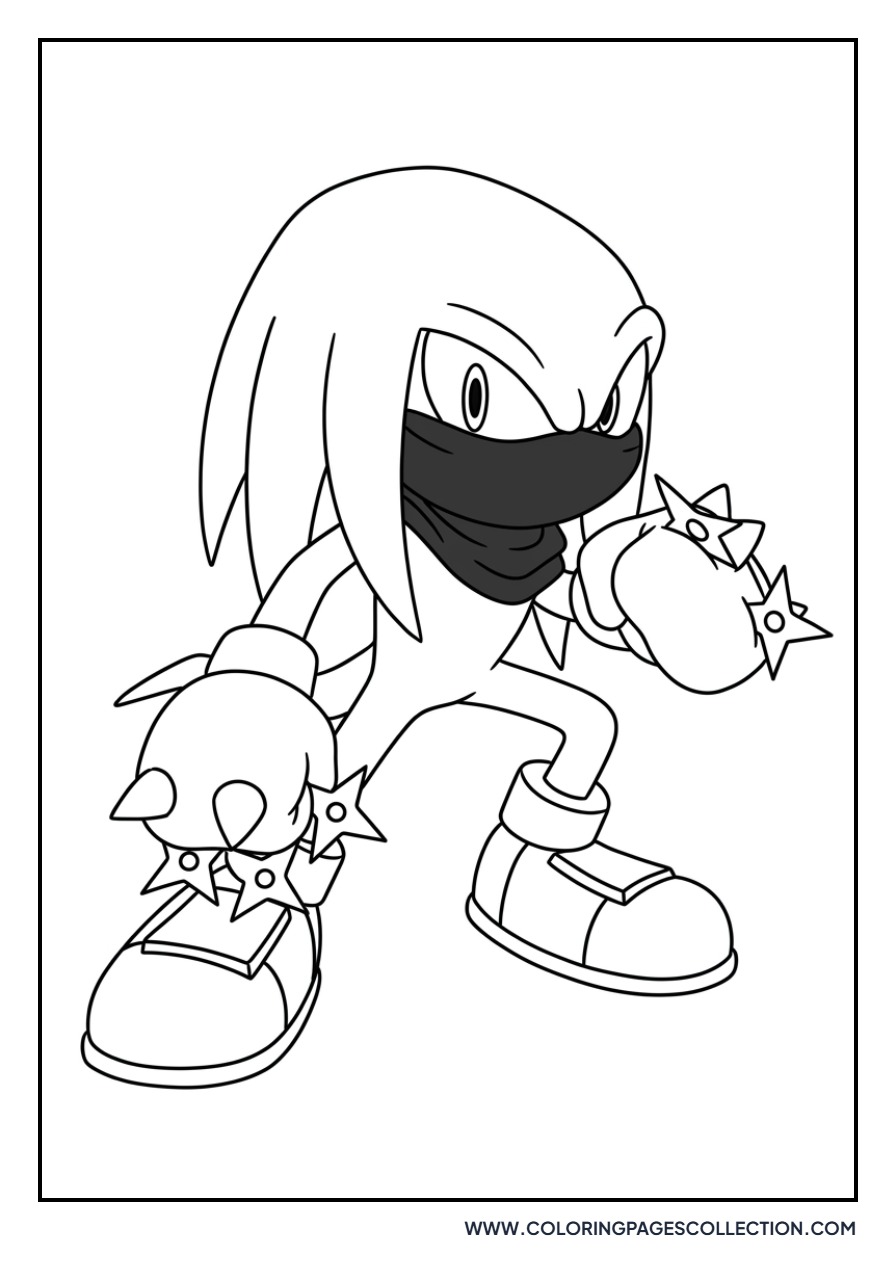 Knuckles Ninja Mask