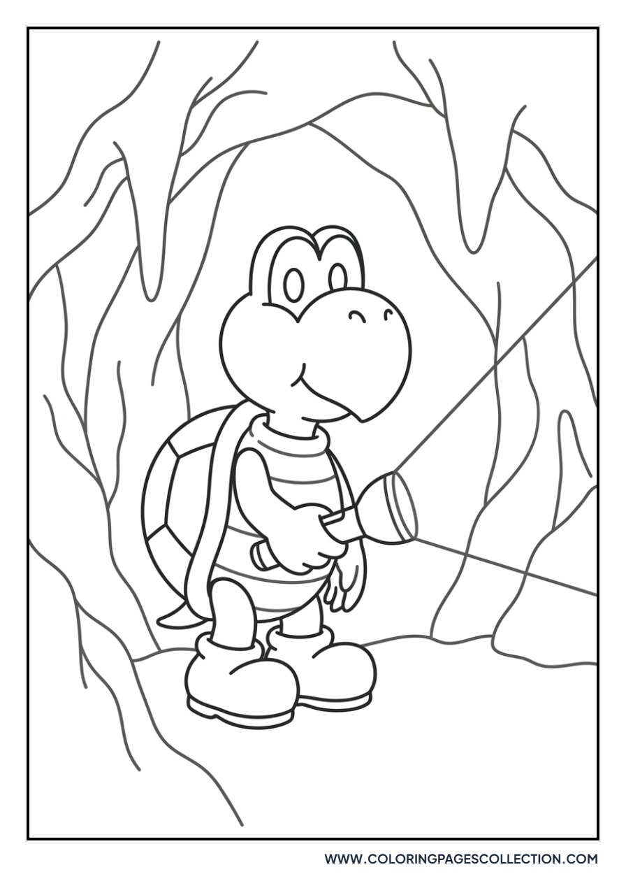 Koopa Troopa in the Dark