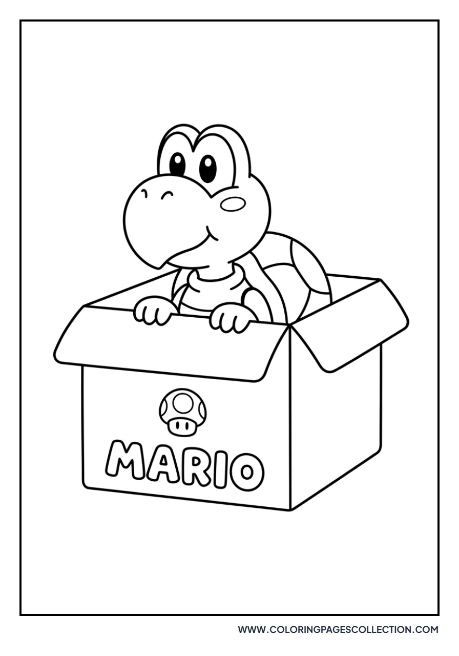 Koopa Troopa Peeking from a Box