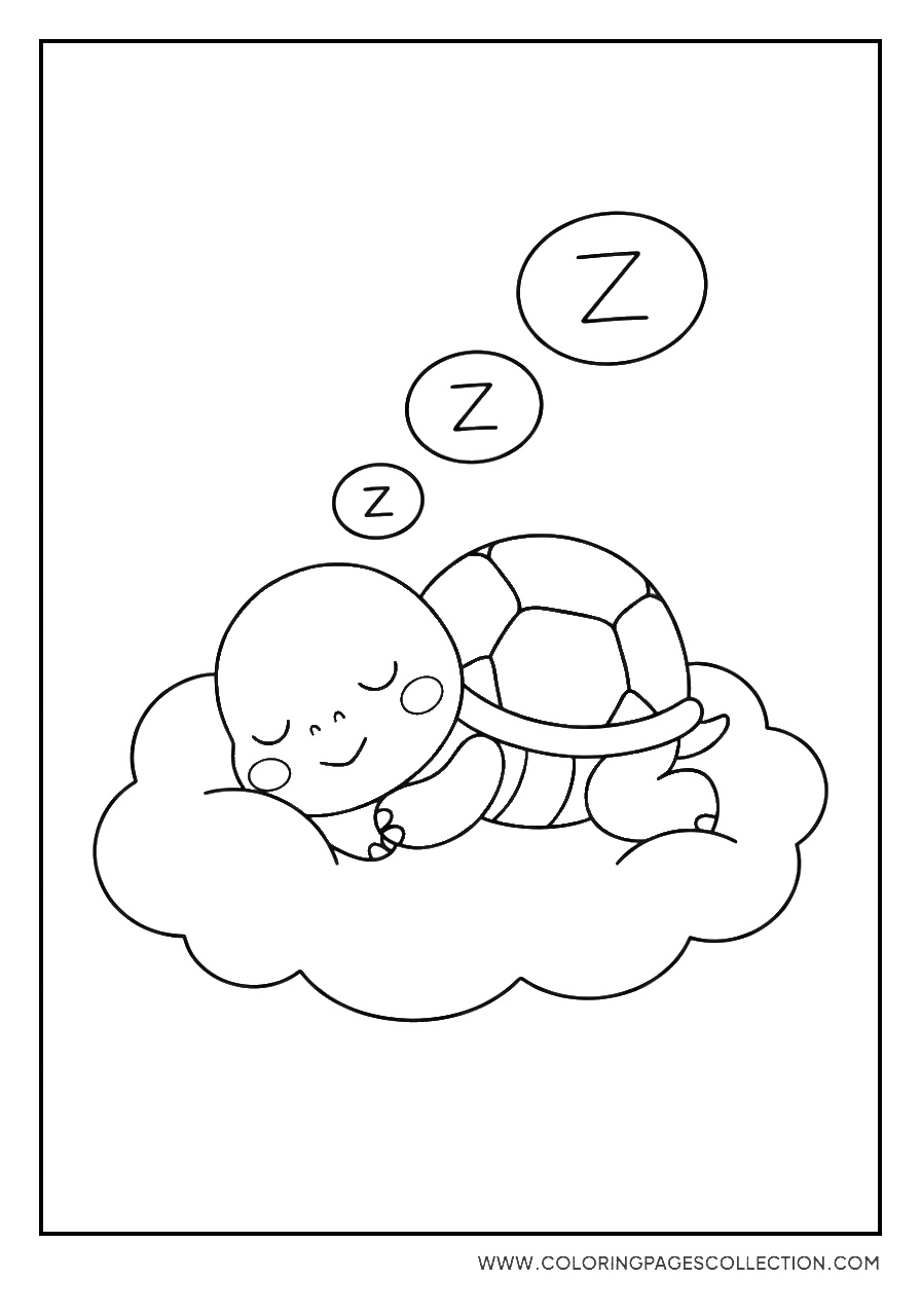 Koopa Troopa Sleeping
