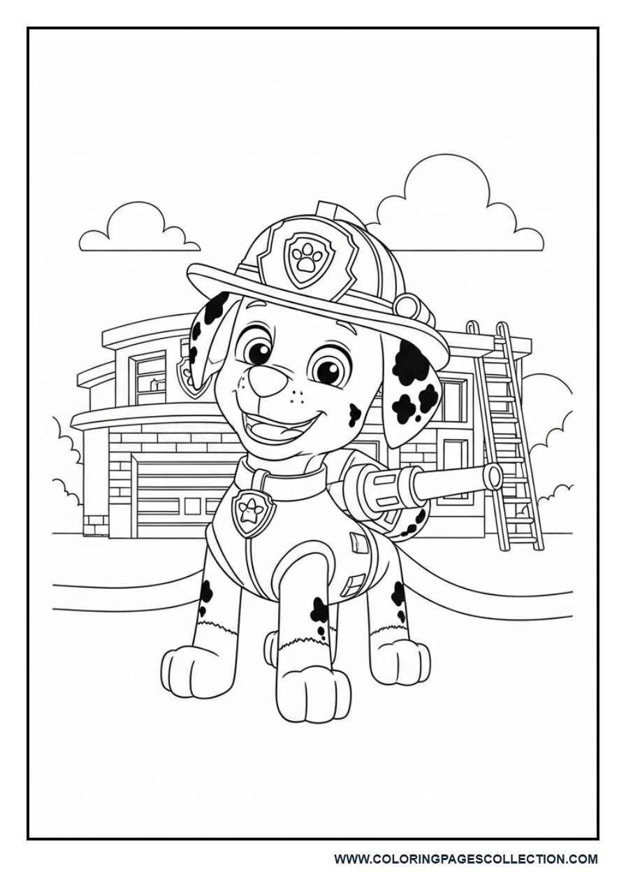 Marshall Fire Station Rescue