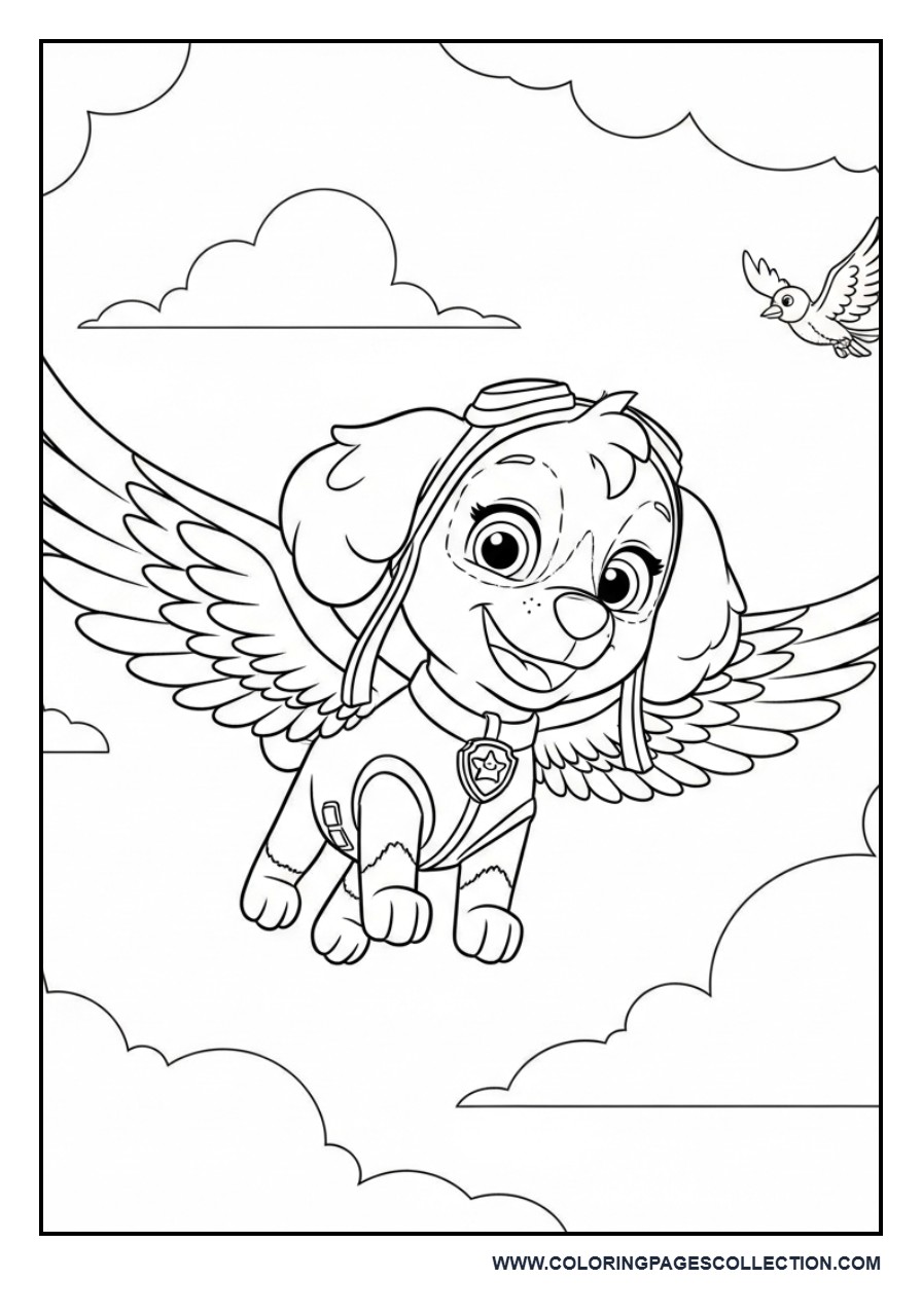 Skye Air Rescue Scene