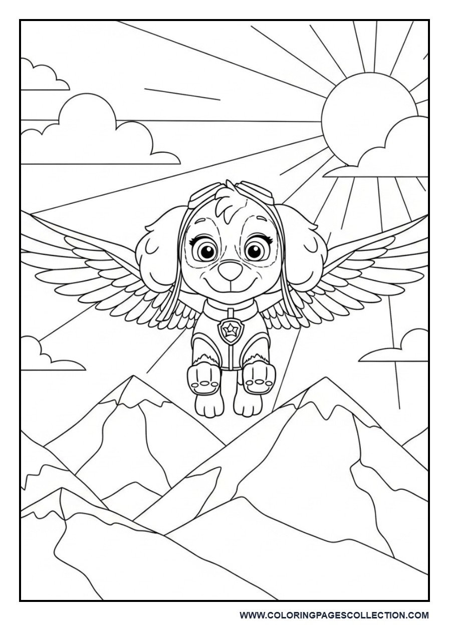 Skye Mountain Air Rescue