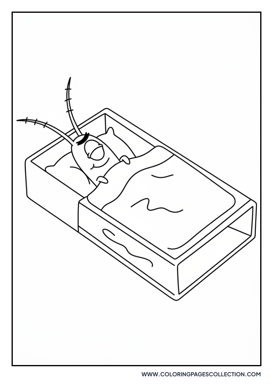 Plankton Sleeping in a Matchbox