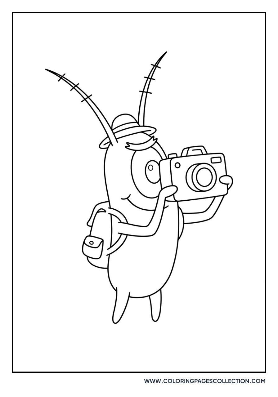 Plankton with a Camera
