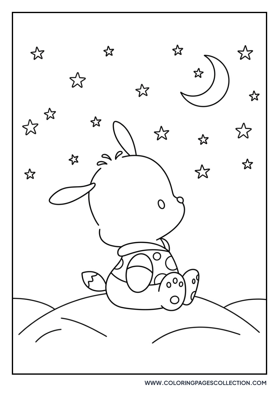 Pochacco and Starry Night