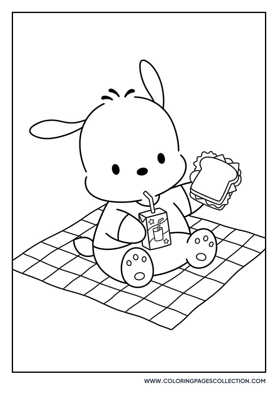 Pochacco Picnic Time