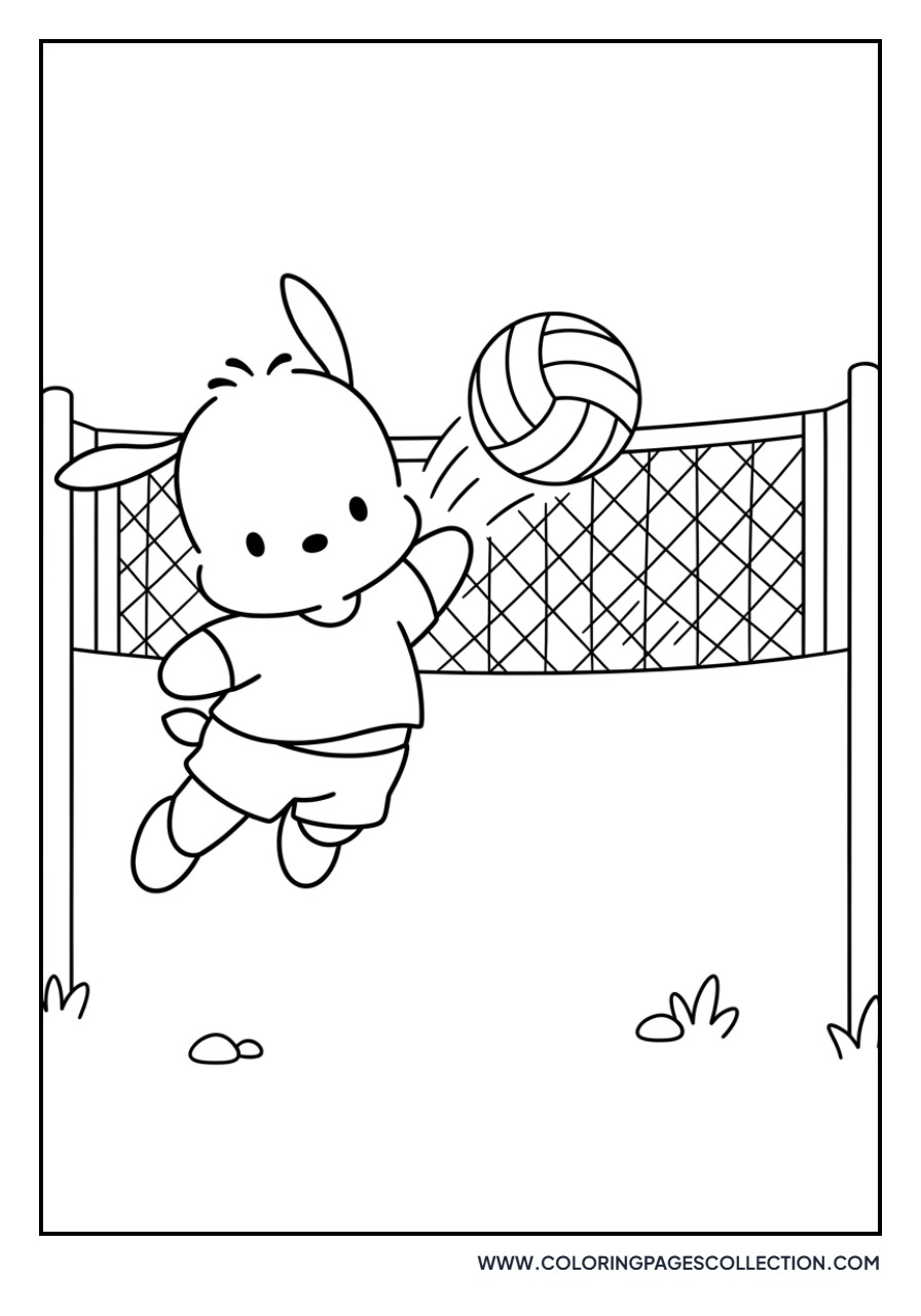 Pochacco Playing Volleyball