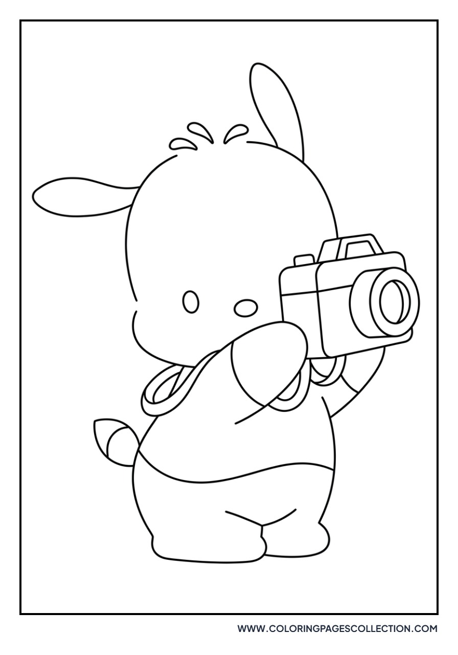 Pochacco with a Camera