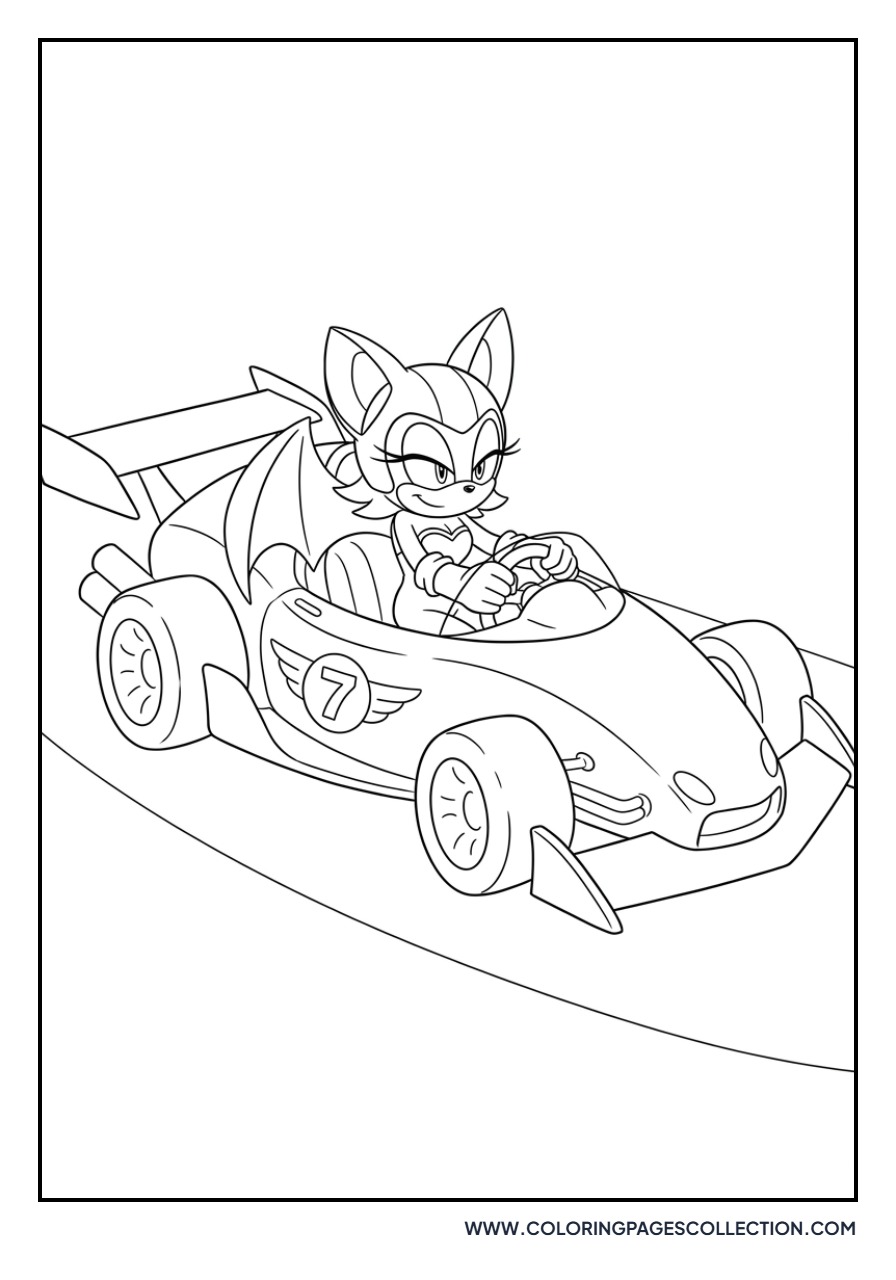 Rouge the Bat in a Racing Car