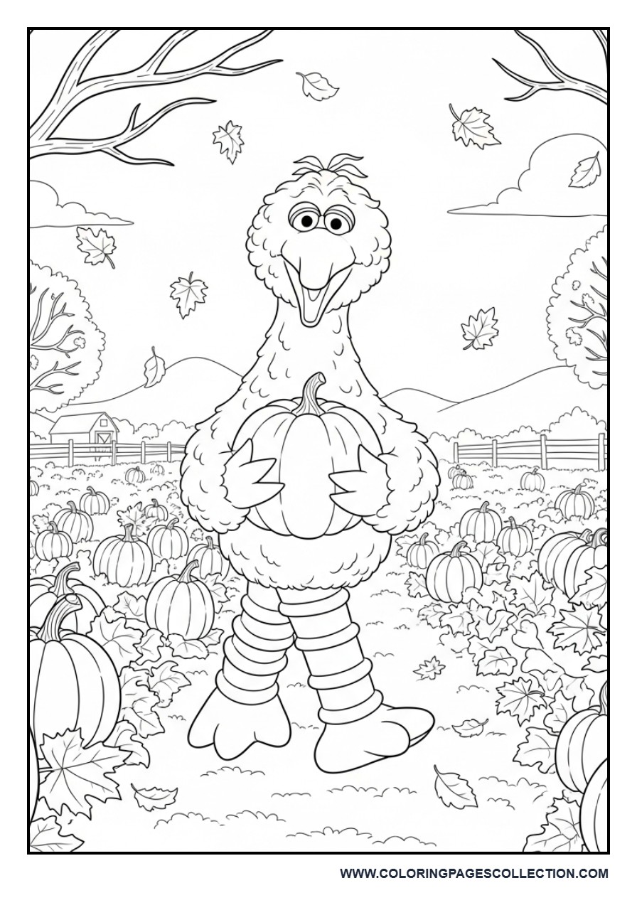 Big Bird in a Fall Pumpkin Patch