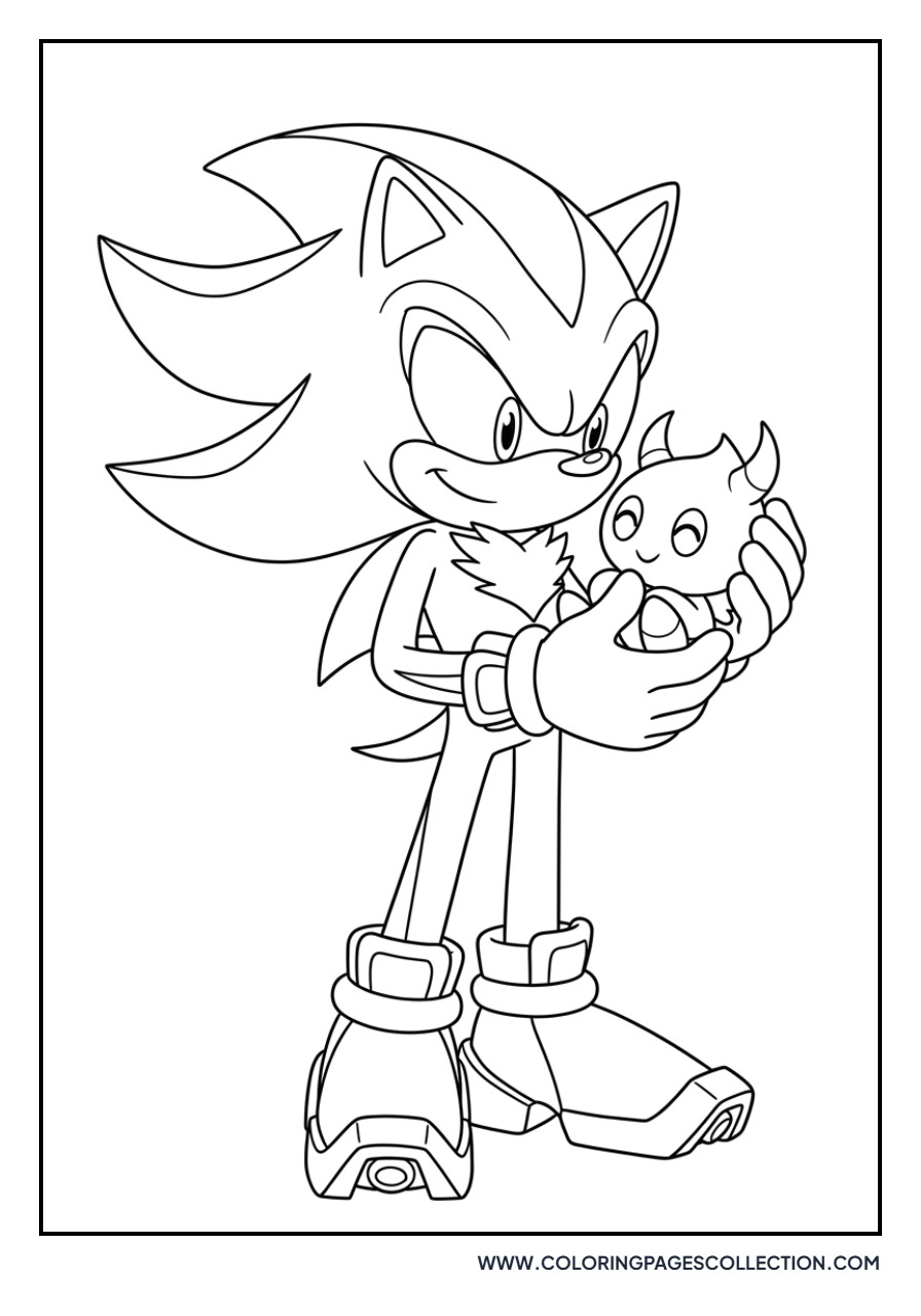 Shadow and Chao Friend