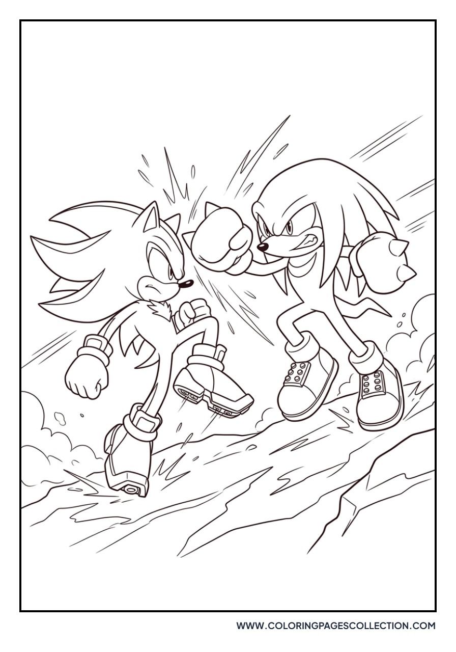 Shadow and Knuckles Fight