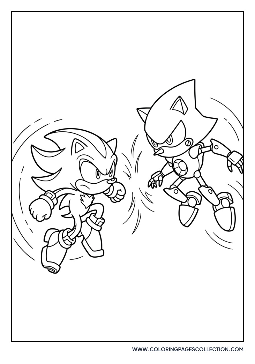 Shadow and Metal Sonic