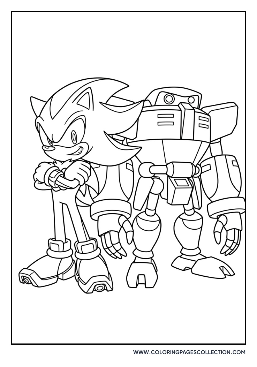 Shadow and Omega Team