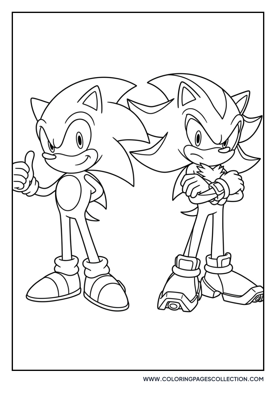 Shadow and Silver Hedgehog