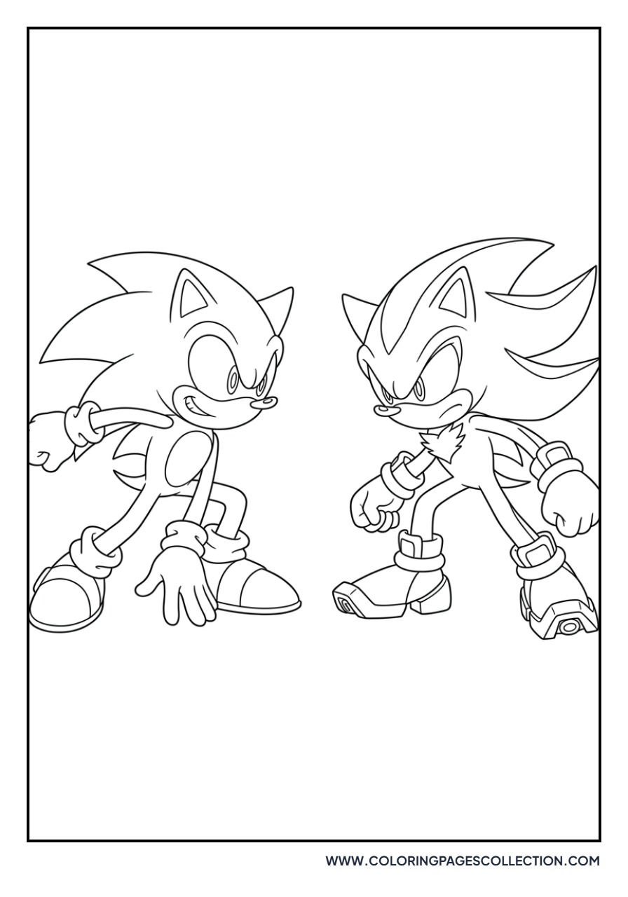 Shadow and Sonic Rivalry