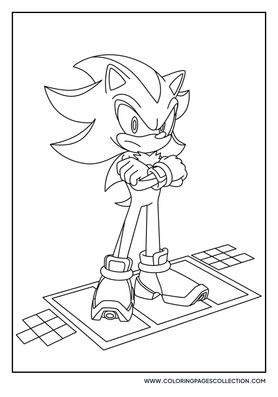 Shadow in a Race Pose
