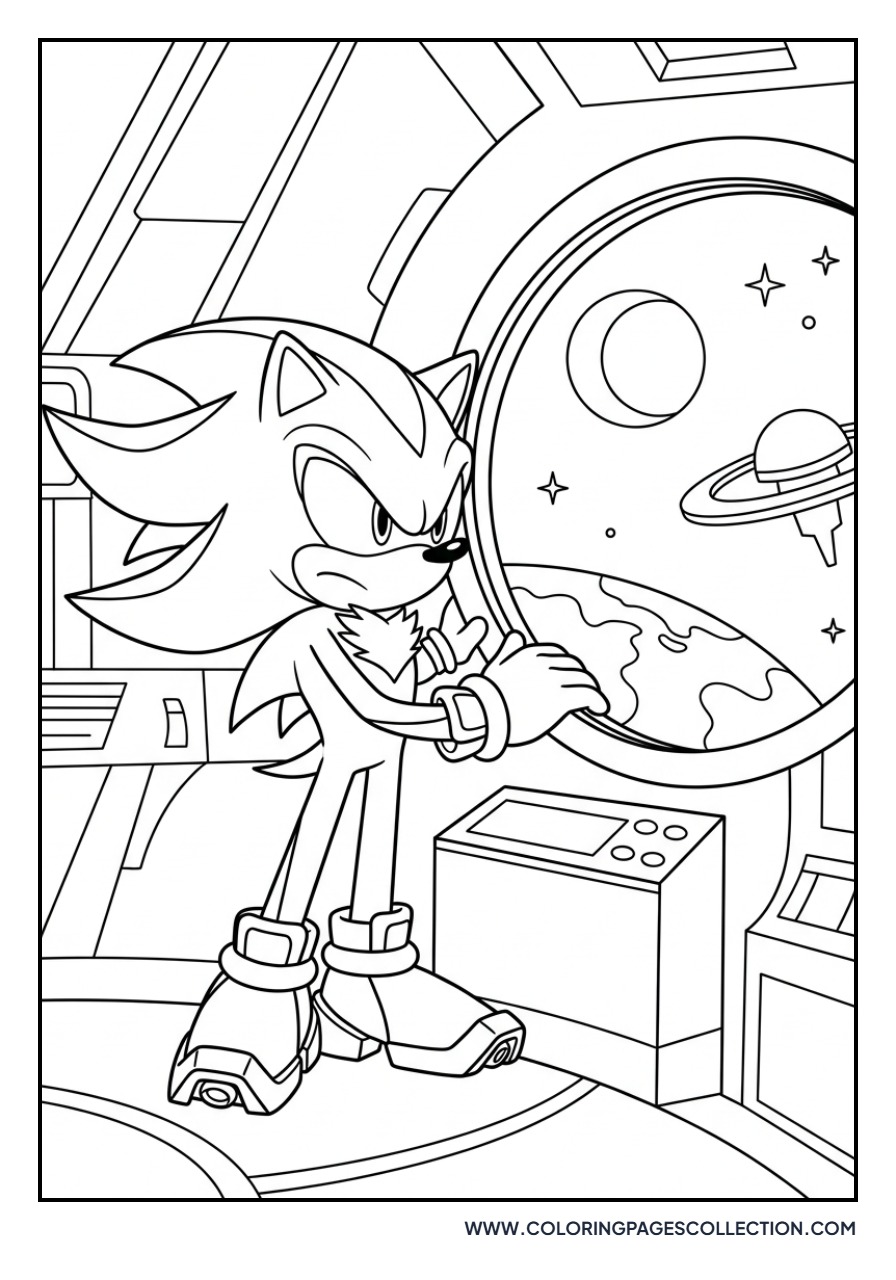 Shadow in a Space Capsule